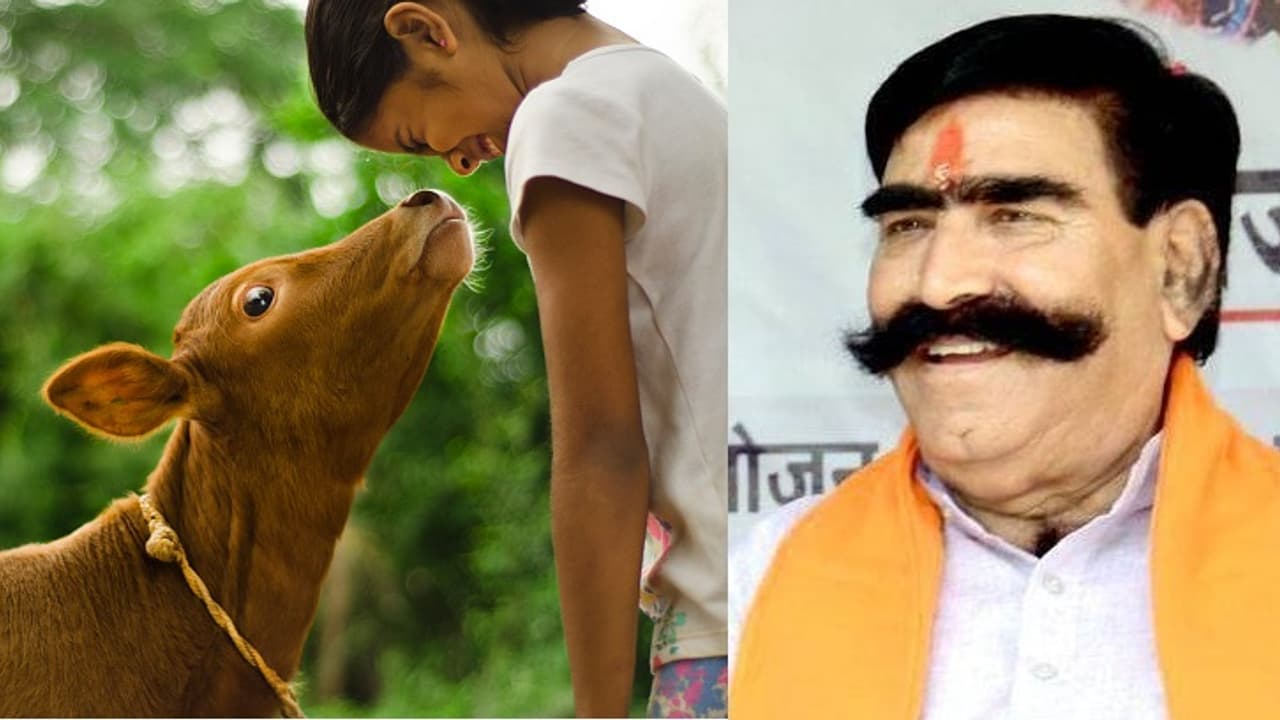 Rajasthan BJP MLA Gyan Dev Ahuja says cow killers are worse than terrorists