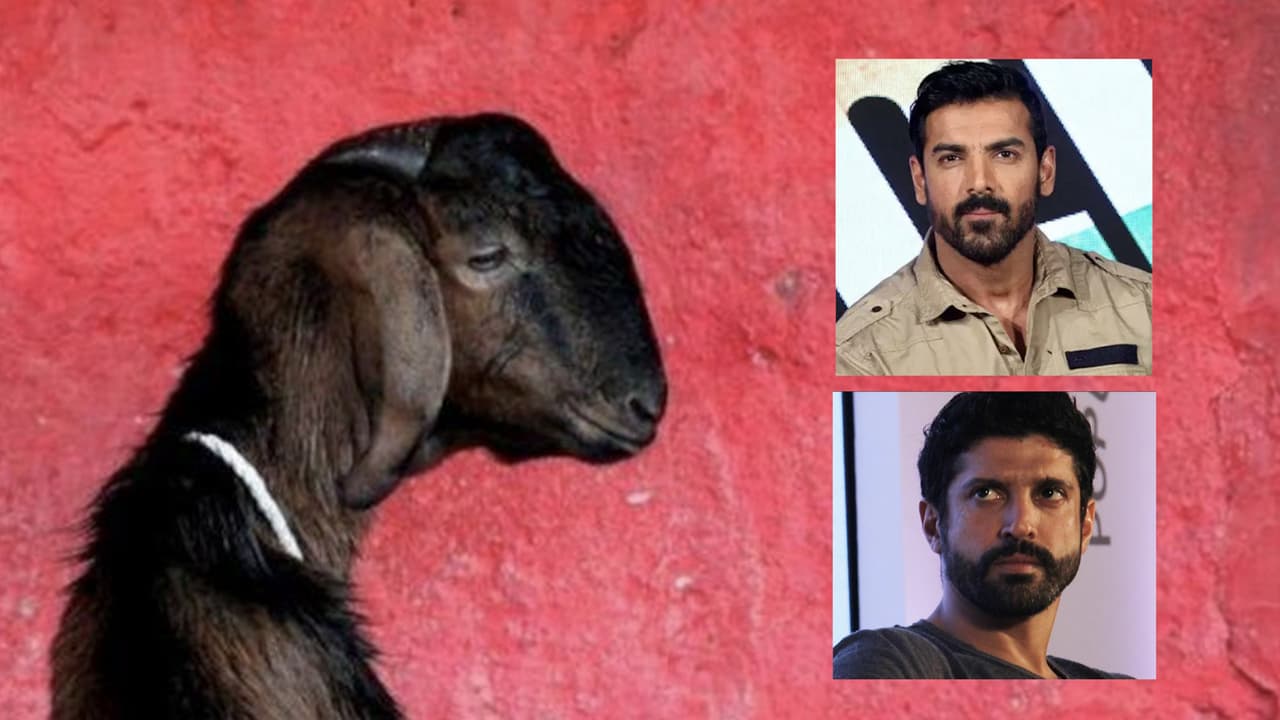 Goat gang rape: John Abraham wants capital punishment for guilty; Farhan Akhtar shocked Goat gang rape: John Abraham wants capital punishment for guilty; Farhan Akhtar shocked