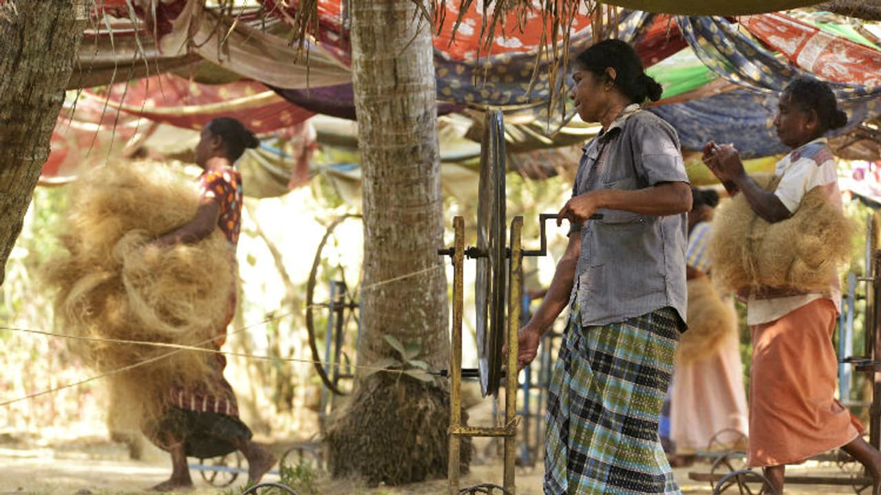 കയർ മേഖലയിലെ അശാസ്ത്രീയ വേതന നിർണയം അവസാനിച്ചുവെന്ന് മന്ത്രി, പുതുക്കിയ വേതനം നൽകും കയർ മേഖലയിലെ അശാസ്ത്രീയ വേതന നിർണയം അവസാനിച്ചുവെന്ന് മന്ത്രി, പുതുക്കിയ വേതനം നൽകും