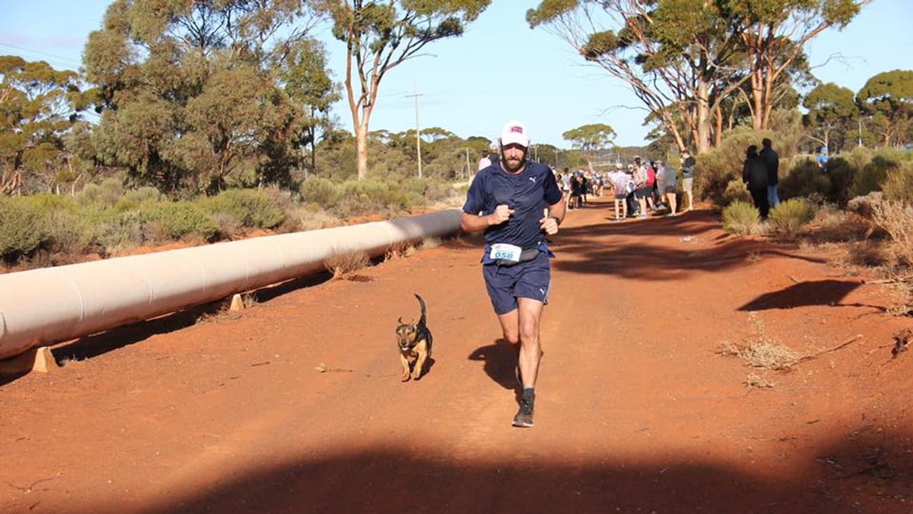 ಮ್ಯಾರಥಾನ್ ಓಡಿದ ಶ್ವಾನಕ್ಕೂ ಸಿಕ್ತು ಪದಕ..! ಮ್ಯಾರಥಾನ್ ಓಡಿದ ಶ್ವಾನಕ್ಕೂ ಸಿಕ್ತು ಪದಕ..!