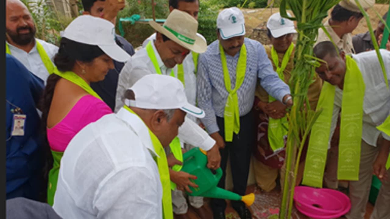 అడవుల రక్షణకు గ్రీన్ బెటాలియన్స్ ఏర్పాటు: కేసీఆర్ (వీడియో) అడవుల రక్షణకు గ్రీన్ బెటాలియన్స్ ఏర్పాటు: కేసీఆర్ (వీడియో)