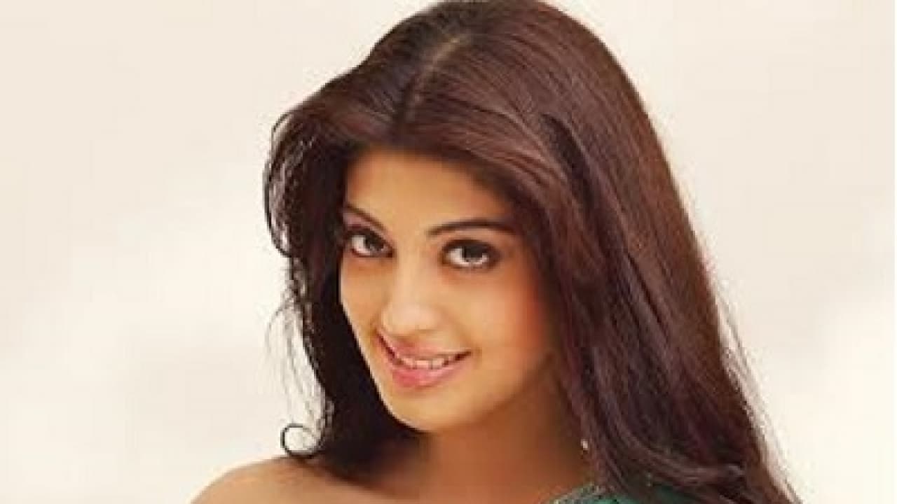 ನಿವೇದಿತಾ ಆಯ್ತು, ಈಗ ಪ್ರಣಿತಾರಿಂದ ಕಿಕಿ ಡ್ಯಾನ್ಸ್! ನಿವೇದಿತಾ ಆಯ್ತು, ಈಗ ಪ್ರಣಿತಾರಿಂದ ಕಿಕಿ ಡ್ಯಾನ್ಸ್!