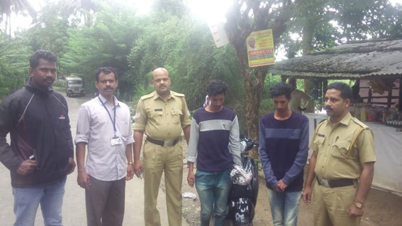 കഞ്ചാവുമായി ഇരട്ടസഹോദരങ്ങള് പിടിയില് കഞ്ചാവുമായി ഇരട്ടസഹോദരങ്ങള് പിടിയില്