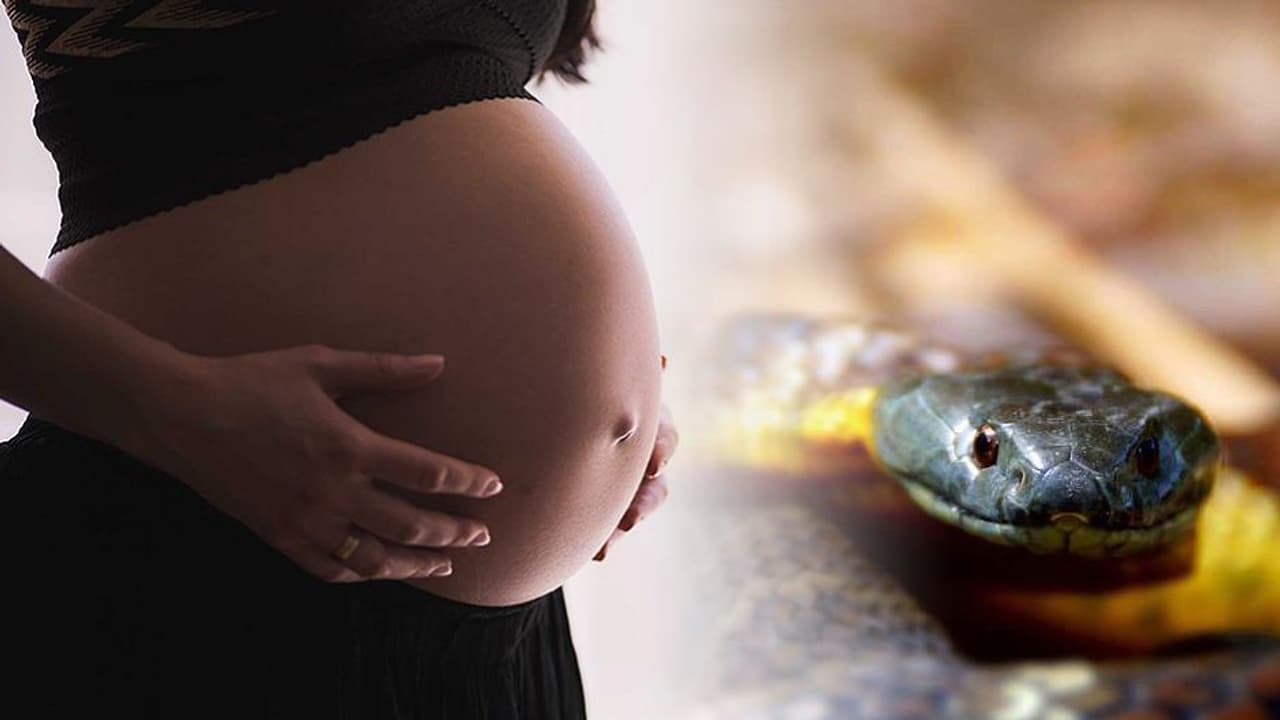 பாம்பு மனிதருடன் வாழ்ந்து குழந்தை பெற்றேன்...! பின் நடந்த சோகம்..! இளம்பெண் வெளியிட்ட அதிர்ச்சி தகவல்..! பாம்பு மனிதருடன் வாழ்ந்து குழந்தை பெற்றேன்...! பின் நடந்த சோகம்..! இளம்பெண் வெளியிட்ட அதிர்ச்சி தகவல்..!