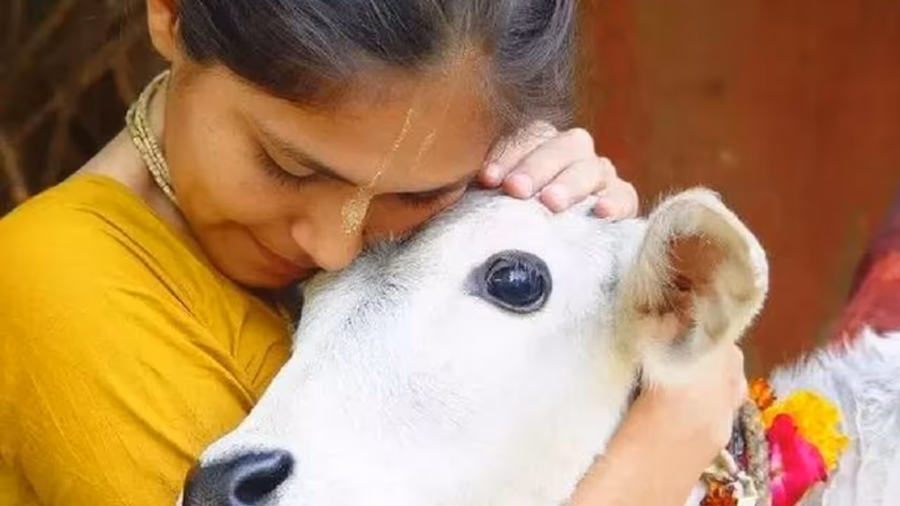 Hindustan becoming Lynchistan? Meat mafia truths and cow vigilante myths