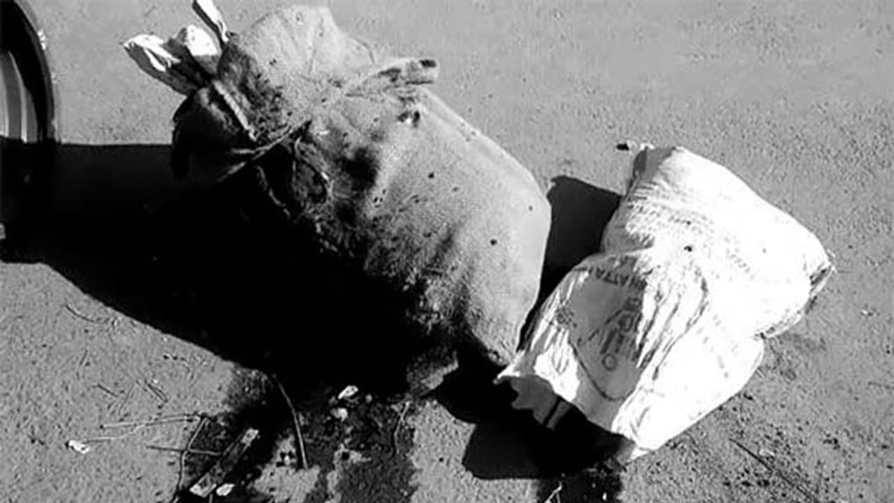 హైదరాబాద్‌లో ప్రెగ్నెంట్ మర్డర్...నిందితులపై పీడి యాక్టు నమోదు