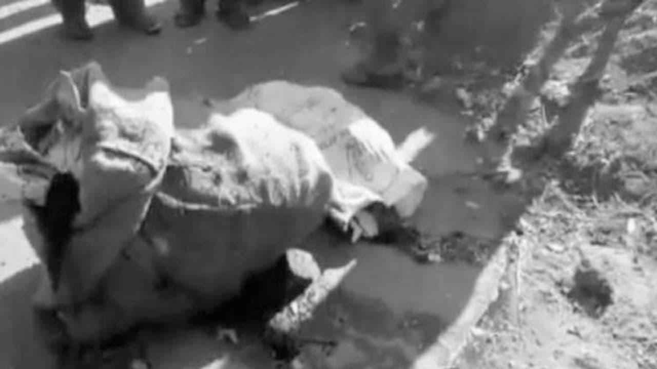 ನಾಸಿಕ್ , ಅಂಗಡಿಯ ಬೇಸ್ ಮೆಂಟ್ ನಲ್ಲಿ ಮಾನವನ ಕಣ್ಣು, ಕಿವಿ, ಅಂಗಾಂಗ ಪತ್ತೆ! ನಾಸಿಕ್ , ಅಂಗಡಿಯ ಬೇಸ್ ಮೆಂಟ್ ನಲ್ಲಿ ಮಾನವನ ಕಣ್ಣು, ಕಿವಿ, ಅಂಗಾಂಗ ಪತ್ತೆ!