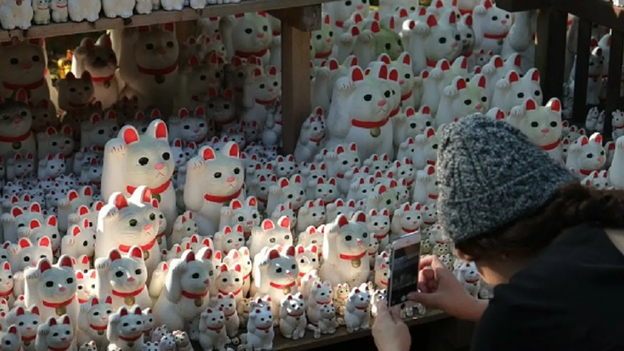 Tokyo's 'lucky cat' temple becomes most Instagrammable spot in city Tokyo's 'lucky cat' temple becomes most Instagrammable spot in city