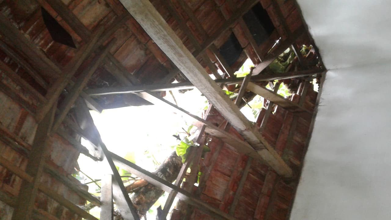 ആലപ്പുഴയില് ശക്തമായ കാറ്റിലും മഴയിലും വീടിന് മുകളില് തേക്കുമരം കടപുഴകി വീണു ആലപ്പുഴയില് ശക്തമായ കാറ്റിലും മഴയിലും വീടിന് മുകളില് തേക്കുമരം കടപുഴകി വീണു