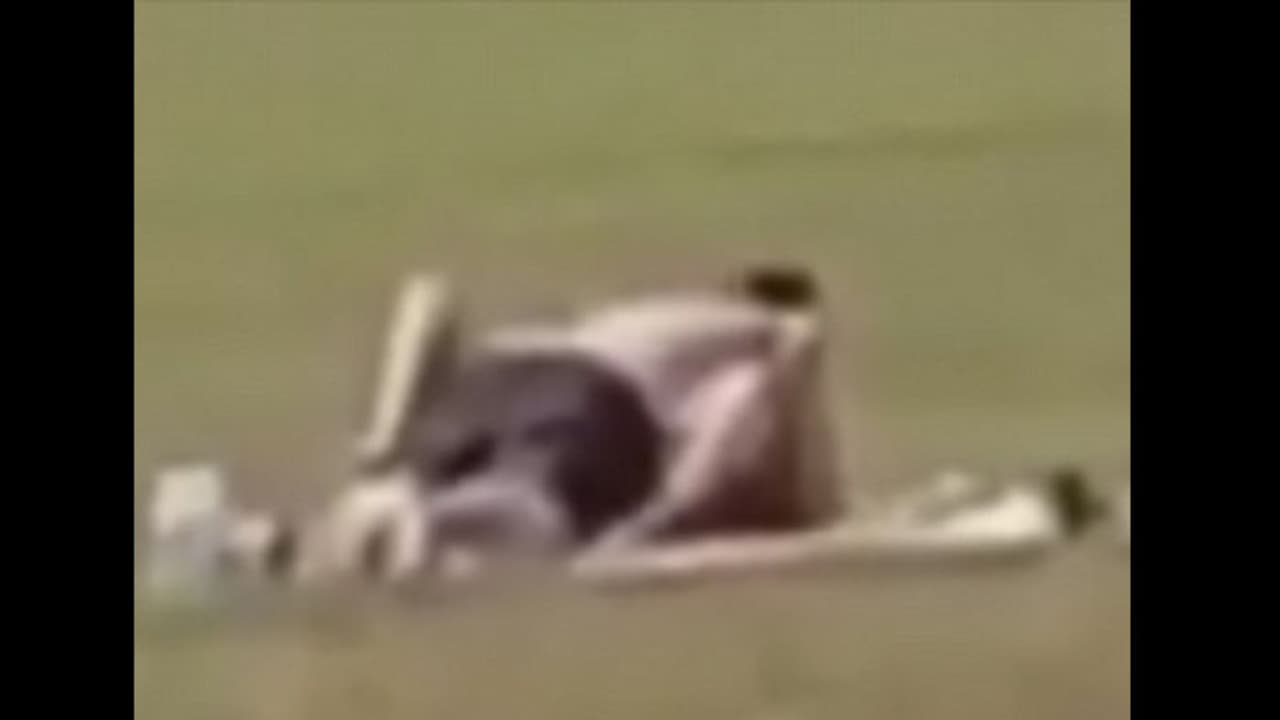 ಈ ನಗರದಲ್ಲಿ ರಸ್ತೆ ಬದಿಯಲ್ಲೂ ಲೈಂಗಿಕ ಕ್ರಿಯೆ ಮುಕ್ತ ಮಕ್ತ ಈ ನಗರದಲ್ಲಿ ರಸ್ತೆ ಬದಿಯಲ್ಲೂ ಲೈಂಗಿಕ ಕ್ರಿಯೆ ಮುಕ್ತ ಮಕ್ತ