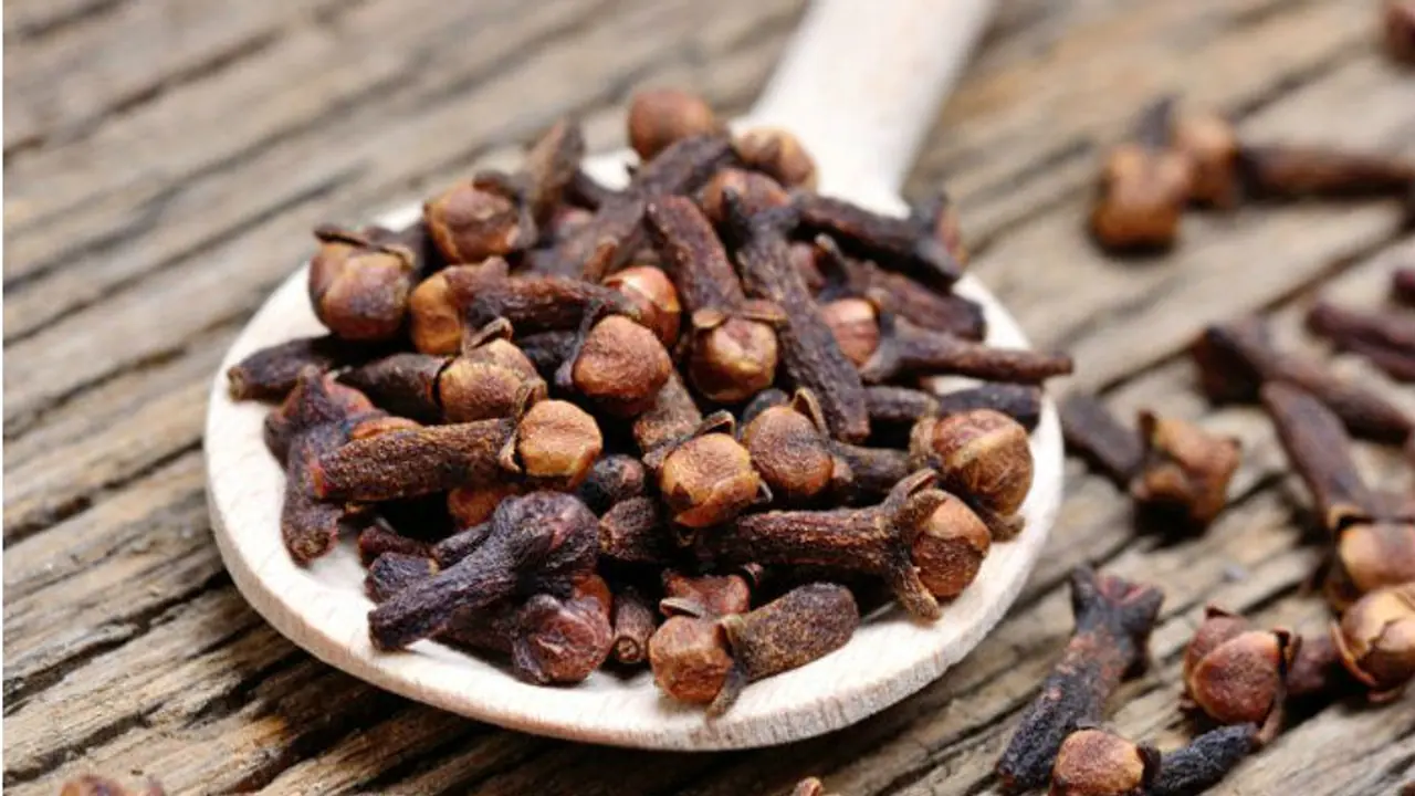 ಲವಂಗದ ಸಂಗ ಆರೋಗ್ಯಕ್ಕಿಲ್ಲ ಭಂಗ ಲವಂಗದ ಸಂಗ ಆರೋಗ್ಯಕ್ಕಿಲ್ಲ ಭಂಗ