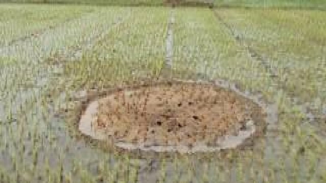 ஓ.என்.ஜி.சி. குழாயில் மீண்டும் உடைப்பு; விளை நிலத்தில் எண்ணெய் கசிந்ததால் கிராம மக்கள் பதற்றம்... ஓ.என்.ஜி.சி. குழாயில் மீண்டும் உடைப்பு; விளை நிலத்தில் எண்ணெய் கசிந்ததால் கிராம மக்கள் பதற்றம்...