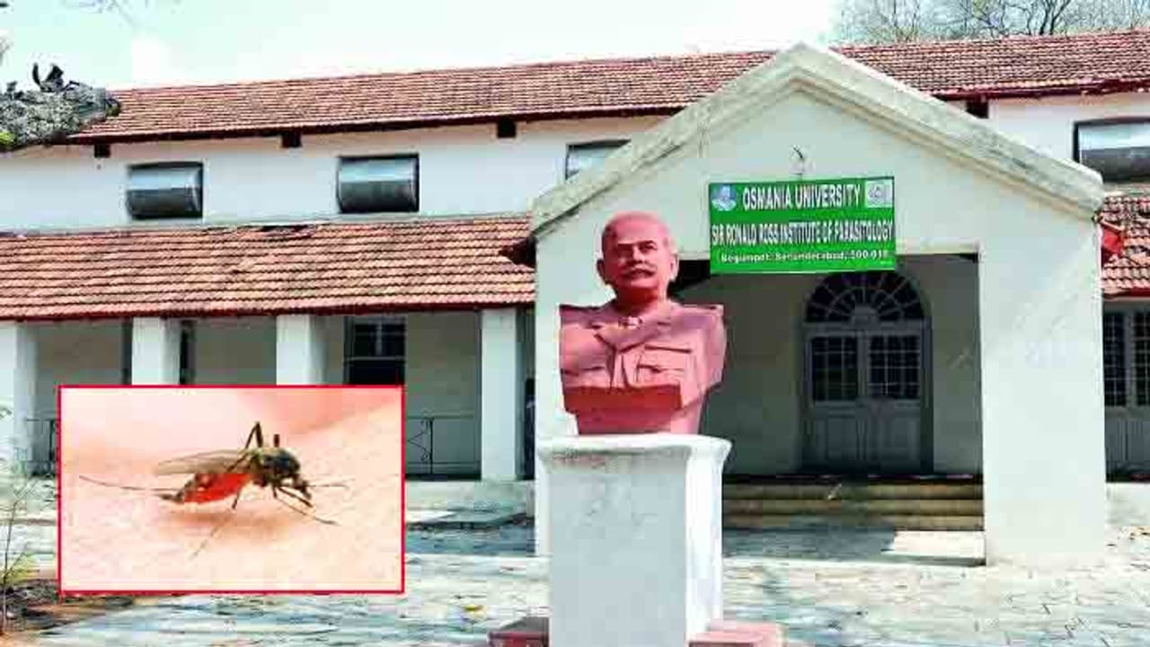 మలేరియా అంతు చూసిన చోటు.. నేడు శిథిలావస్థలో ... పట్టించుకోవాలంటూ పిల్ మలేరియా అంతు చూసిన చోటు.. నేడు శిథిలావస్థలో ... పట్టించుకోవాలంటూ పిల్