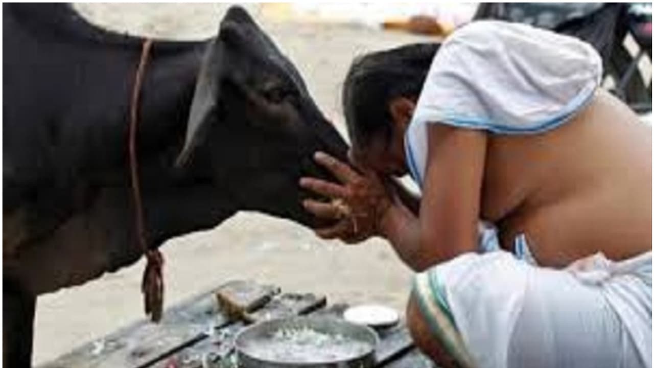 ஆடி அமாவாசை 2024 எப்போது? இந்த 1 எளிய தானம் செய்ங்க.. இனி அதிஷ்டம் தான்!