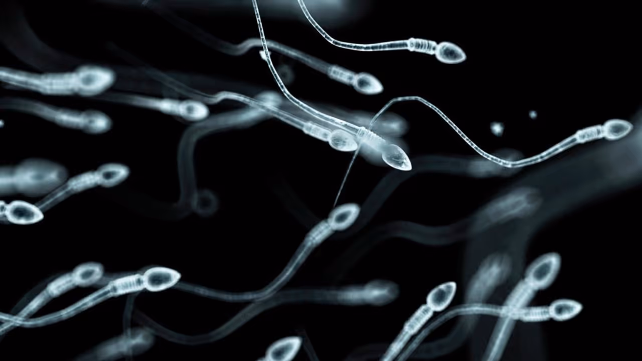 இந்த ஆண்களுக்கெல்லாம் குழந்தையே பிறக்காதாம்… நல்லா தெரிஞ்சுக்கோங்க !! இந்த ஆண்களுக்கெல்லாம் குழந்தையே பிறக்காதாம்… நல்லா தெரிஞ்சுக்கோங்க !!