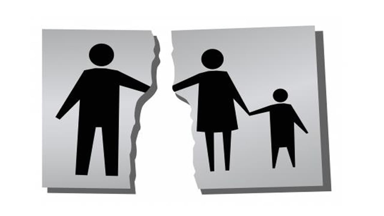 സിംഗിള് പാരന്റിങ് സമൂഹത്തിന് അപകടകരമെന്ന് മദ്രാസ് ഹൈക്കോടതി സിംഗിള് പാരന്റിങ് സമൂഹത്തിന് അപകടകരമെന്ന് മദ്രാസ് ഹൈക്കോടതി