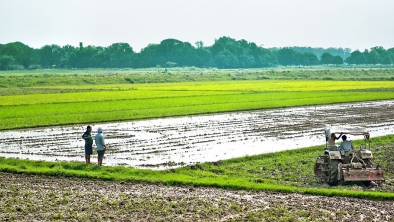 One Nation One Registration: ನಿಮ್ಮ ಭೂಮಿಗೂ ಇನ್ಮುಂದೆ ಸಿಗಲಿದೆ Aadhaar Card! One Nation One Registration: ನಿಮ್ಮ ಭೂಮಿಗೂ ಇನ್ಮುಂದೆ ಸಿಗಲಿದೆ Aadhaar Card!