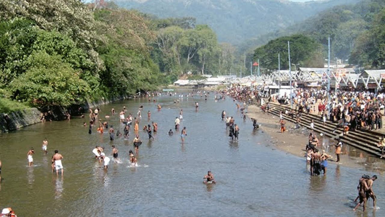 പമ്പയിൽ 90 കാട്ടുപന്നികളെ ഉള്‍ക്കാട്ടിലേക്ക് മറ്റി, ഓഫ് റോഡ് ആംബുലന്‍സും റെഡി, എല്ലാം സുസജ്ജമെന്ന് വനംവകുപ്പ്