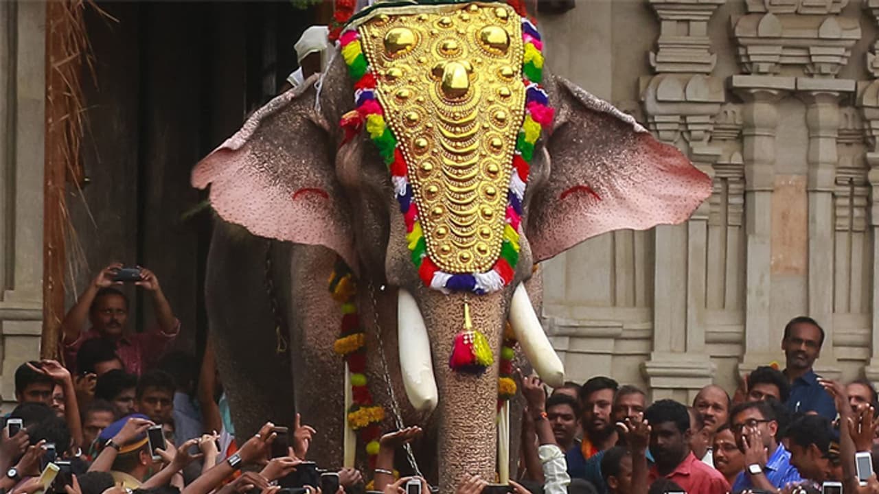 തൃശൂർ പൂരത്തിന് ഇത്തവണ തെച്ചിക്കോട്ടുകാവ് രാമചന്ദ്രനില്ല; കാരണമറിയിച്ച് തെച്ചിക്കോട്ടുകാവ് ദേവസ്വം തൃശൂർ പൂരത്തിന് ഇത്തവണ തെച്ചിക്കോട്ടുകാവ് രാമചന്ദ്രനില്ല; കാരണമറിയിച്ച് തെച്ചിക്കോട്ടുകാവ് ദേവസ്വം