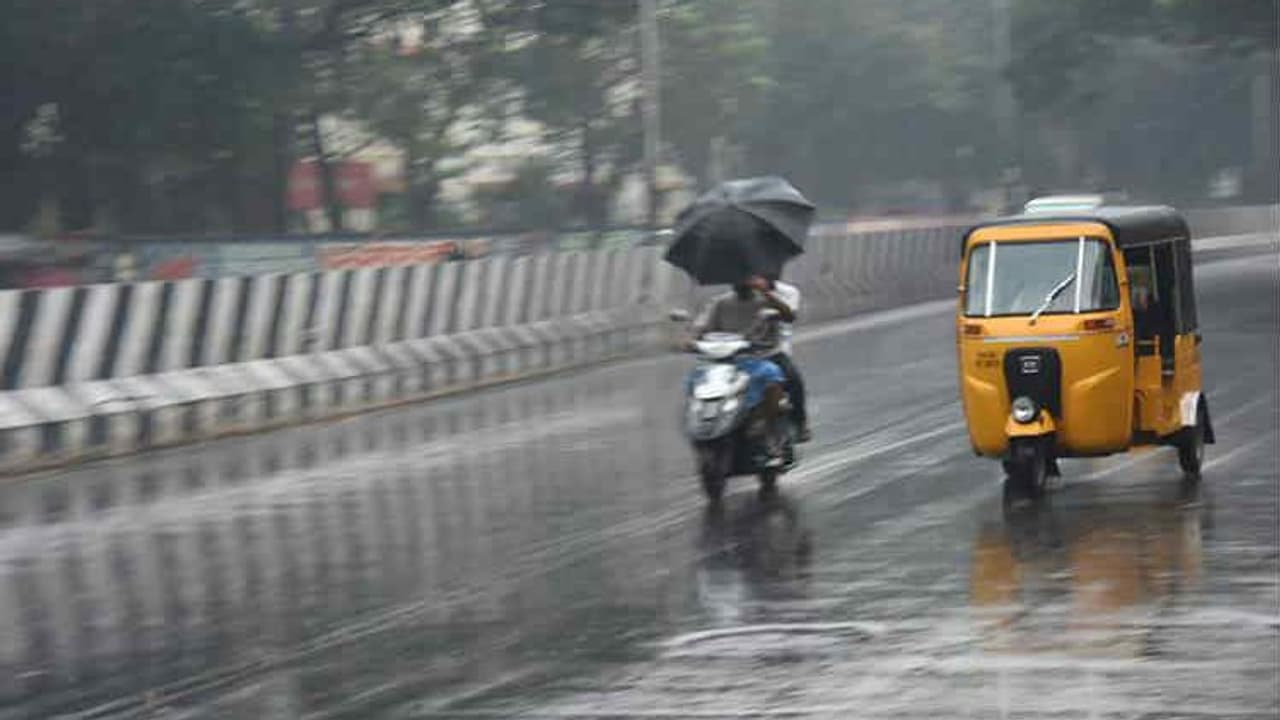 പാലക്കാട് മഴയ്ക്ക് നേരിയ ശമനം; മലമ്പുഴ അണക്കെട്ടിന്റെ ഷട്ടറുകള് കൂടുതല് ഉയര്ത്തില്ല പാലക്കാട് മഴയ്ക്ക് നേരിയ ശമനം; മലമ്പുഴ അണക്കെട്ടിന്റെ ഷട്ടറുകള് കൂടുതല് ഉയര്ത്തില്ല