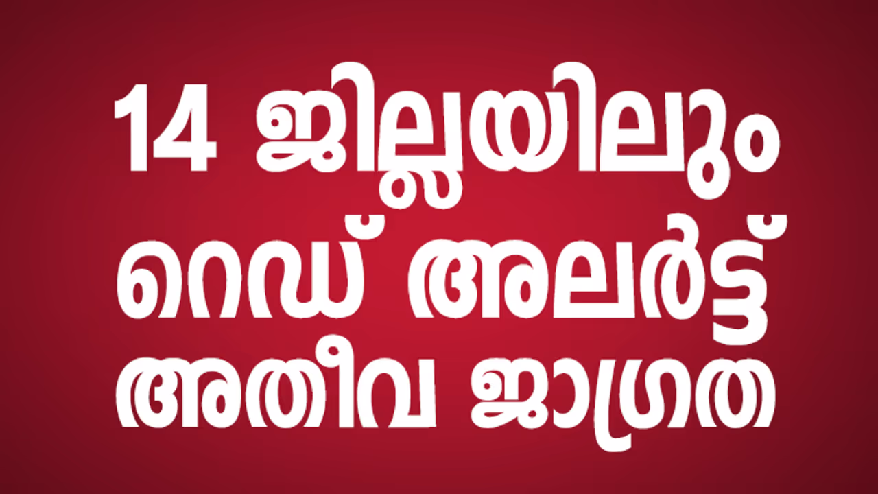 തോരാമഴ: കേരളം മുഴുവന് റെഡ് അലര്ട്ട് തോരാമഴ: കേരളം മുഴുവന് റെഡ് അലര്ട്ട്