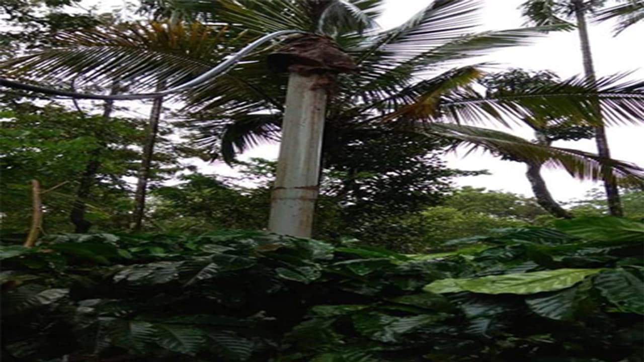 പ്രളയകാലത്ത് കുഴല് കിണര് ആകാശത്തേക്കുയര്ന്നു പ്രളയകാലത്ത് കുഴല് കിണര് ആകാശത്തേക്കുയര്ന്നു