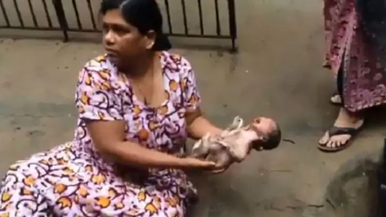 ಸ್ವಾತಂತ್ರ್ಯದ ದಿನ ಸಿಕ್ಕ 'ಸ್ವಾತಂತ್ರ್ಯ': ಏನಿದು? ಸ್ವಾತಂತ್ರ್ಯದ ದಿನ ಸಿಕ್ಕ 'ಸ್ವಾತಂತ್ರ್ಯ': ಏನಿದು?