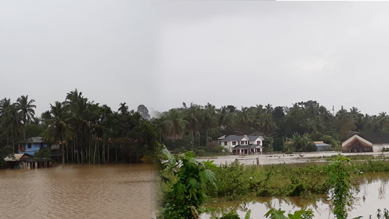 വയനാടിന് ആശ്വാസമായി മഴ ശമിക്കുന്നു; കെടുതികള് രൂക്ഷം വയനാടിന് ആശ്വാസമായി മഴ ശമിക്കുന്നു; കെടുതികള് രൂക്ഷം