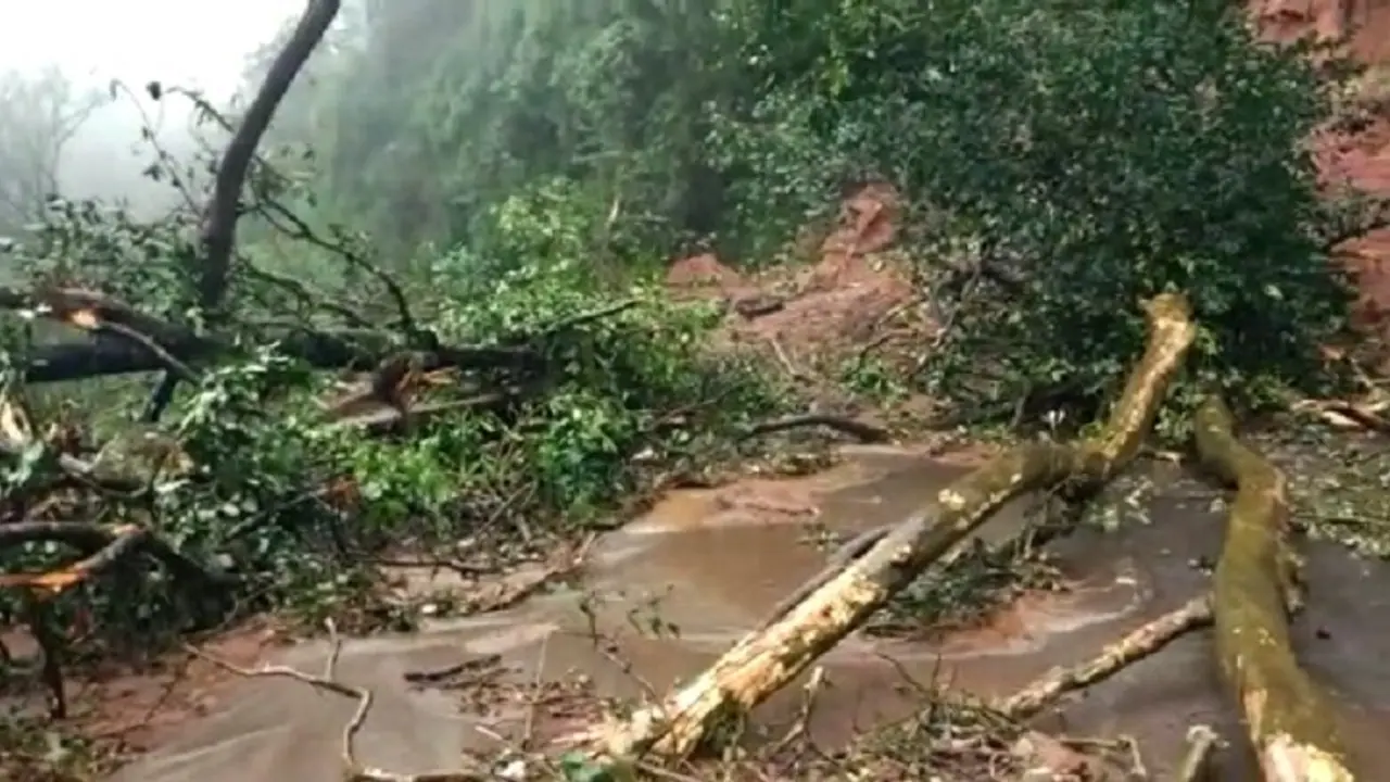 Kodagu Landslide: ಕೊಡಗು ಜಿಲ್ಲೆಯಲ್ಲಿ ಅ.15ರವರೆಗೆ ಭಾರಿ ವಾಹನ ನಿಷೇಧ Kodagu Landslide: ಕೊಡಗು ಜಿಲ್ಲೆಯಲ್ಲಿ ಅ.15ರವರೆಗೆ ಭಾರಿ ವಾಹನ ನಿಷೇಧ
