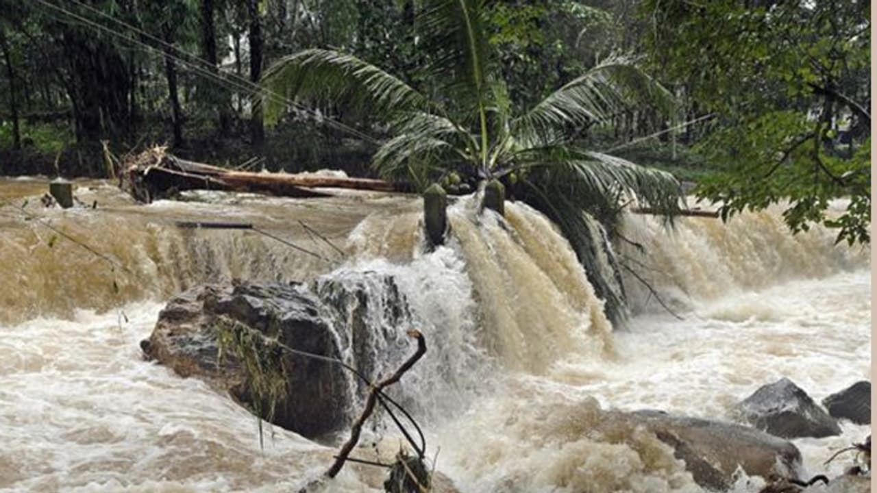 വീണ്ടും വ്യാജന്; ഏനാമാവ് ബണ്ട് പൊട്ടിയെന്നും തൃശൂര് വെള്ളത്തിലാകുമെന്നും വ്യാജപ്രചരണം വീണ്ടും വ്യാജന്; ഏനാമാവ് ബണ്ട് പൊട്ടിയെന്നും തൃശൂര് വെള്ളത്തിലാകുമെന്നും വ്യാജപ്രചരണം