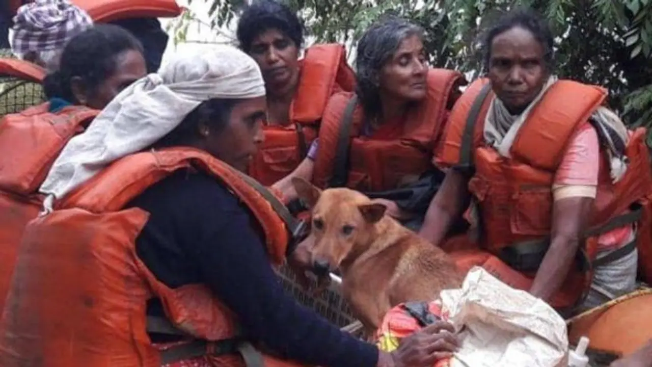 केरल में तबाही के बीच सामने आई इंसान के पालतू जानवरों से प्रेम की अनोखी मिसाल केरल में तबाही के बीच सामने आई इंसान के पालतू जानवरों से प्रेम की अनोखी मिसाल