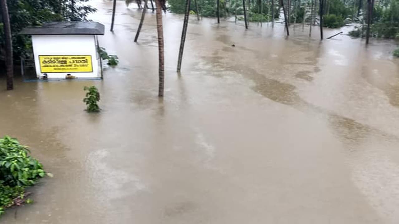 പ്രളയം; ഡെപ്യൂട്ടി കളക്ടർക്കും തഹസില്ദാറിനുമെതിരെ നടപടി ആവശ്യപ്പെട്ട് കൃഷി മന്ത്രി പ്രളയം; ഡെപ്യൂട്ടി കളക്ടർക്കും തഹസില്ദാറിനുമെതിരെ നടപടി ആവശ്യപ്പെട്ട് കൃഷി മന്ത്രി