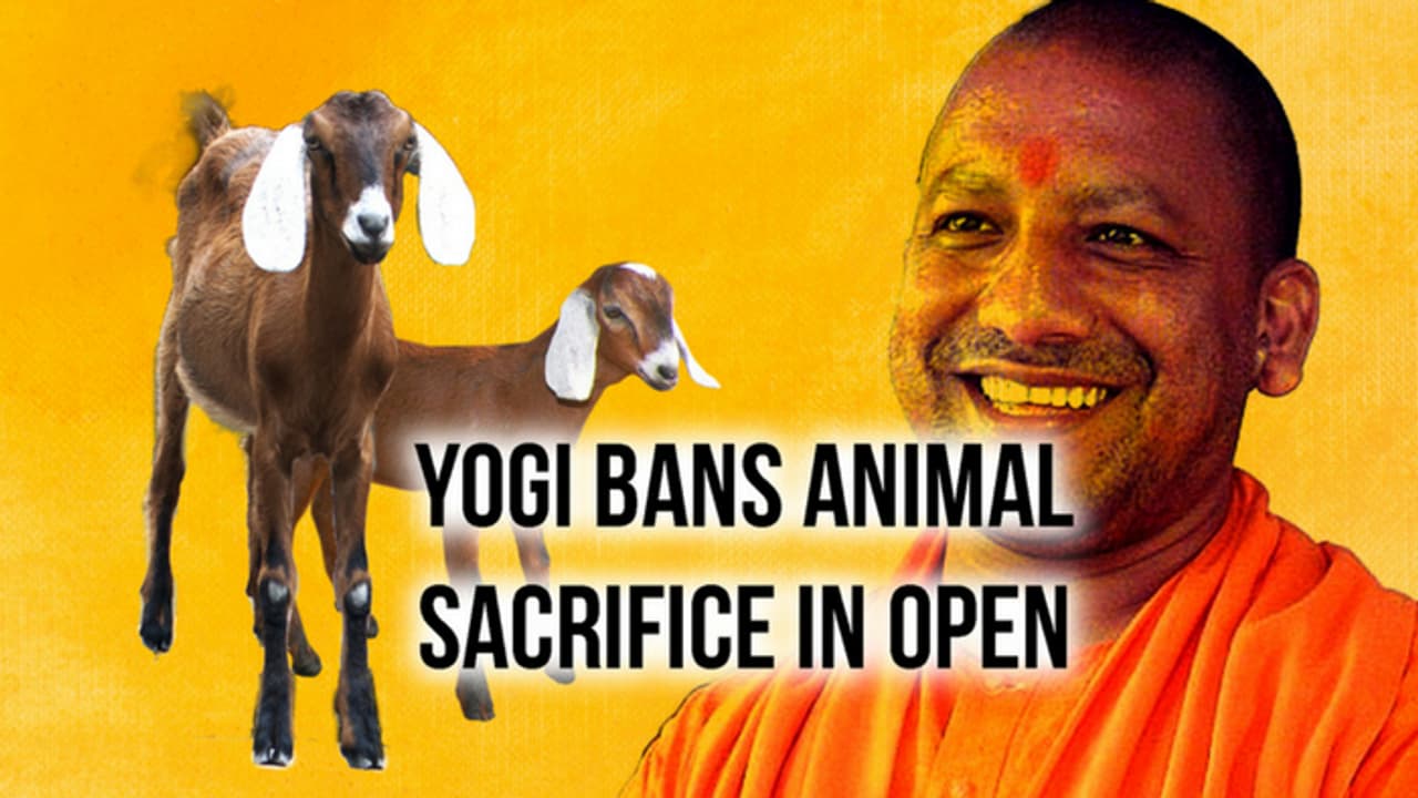 This Bakrid, no animal sacrifice in open in Yogi’s Uttar Pradesh