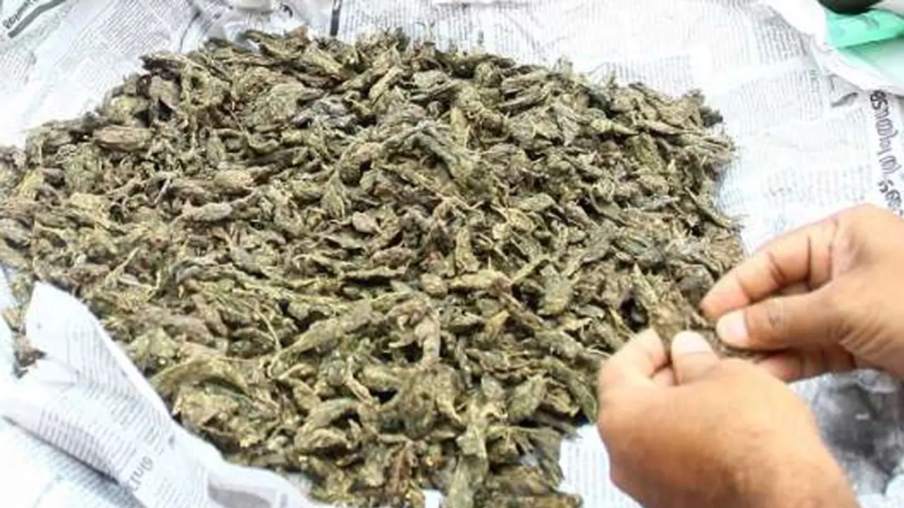 ടൂറിസ്റ്റ് ബസില് കഞ്ചാവ് കടത്ത്, 12 കിലോ പിടികൂടി, അറസ്റ്റ് ടൂറിസ്റ്റ് ബസില് കഞ്ചാവ് കടത്ത്, 12 കിലോ പിടികൂടി, അറസ്റ്റ്