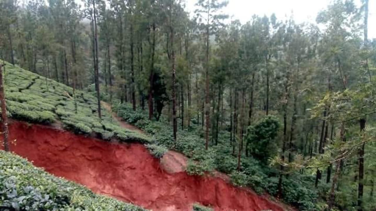 ಮಲೆನಾಡಿನಲ್ಲೀ ಭಾರೀ ಭೂ ಕುಸಿತ; ಬೆಚ್ಚಿಬಿದ್ದ ಕಾಫಿನಾಡಿನ ಜನ ಮಲೆನಾಡಿನಲ್ಲೀ ಭಾರೀ ಭೂ ಕುಸಿತ; ಬೆಚ್ಚಿಬಿದ್ದ ಕಾಫಿನಾಡಿನ ಜನ