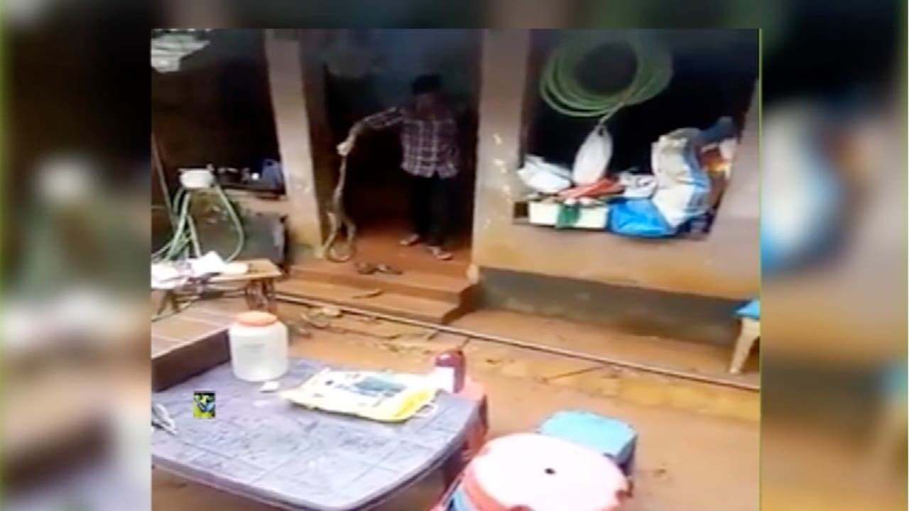 పాము కాట్లకు విరుగుడు: 29న బాబు ప్రభుత్వం సర్పయాగం పాము కాట్లకు విరుగుడు: 29న బాబు ప్రభుత్వం సర్పయాగం