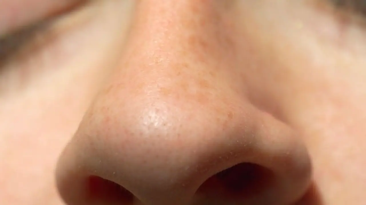 உங்கள் மூக்கு இப்படி இருக்கா..? இதுக்கு அர்த்தம் "அதுதான்"..! உங்கள் மூக்கு இப்படி இருக்கா..? இதுக்கு அர்த்தம் "அதுதான்"..!