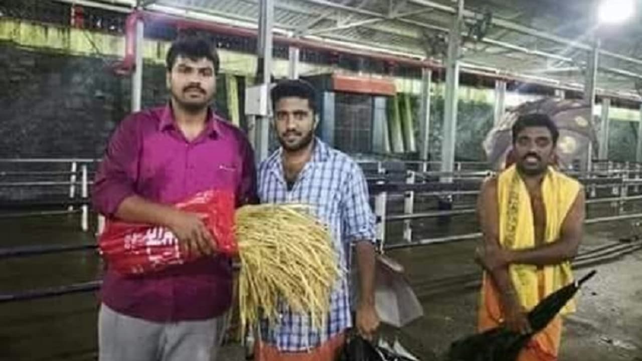 சரிமலை ஐயப்பனுக்கு உயிரை பணயம் வைத்து நெற்கதிர்கள் எடுத்து சென்ற கிருஸ்துவ இளைஞர்கள்!! குவியும் பாராட்டு... சரிமலை ஐயப்பனுக்கு உயிரை பணயம் வைத்து நெற்கதிர்கள் எடுத்து சென்ற கிருஸ்துவ இளைஞர்கள்!! குவியும் பாராட்டு...