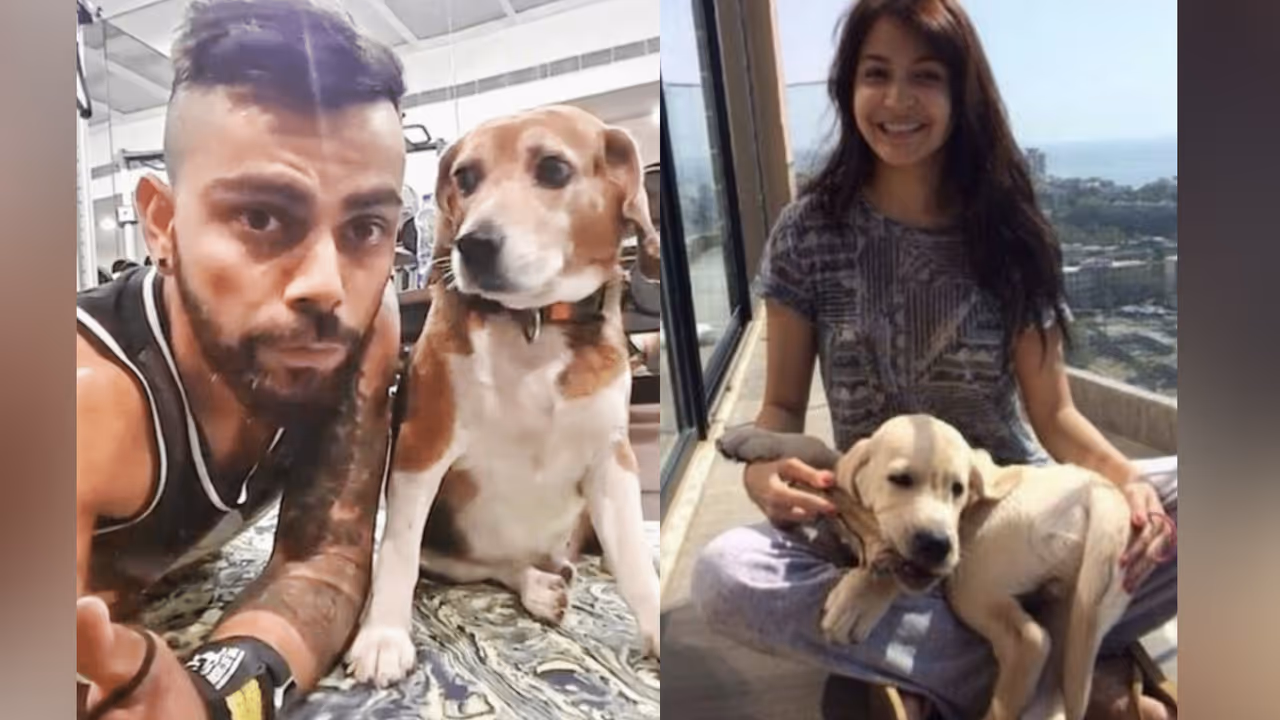 Kerala floods: Anushka Sharma, Virat Kohli send relief materials for animals Kerala floods: Anushka Sharma, Virat Kohli send relief materials for animals