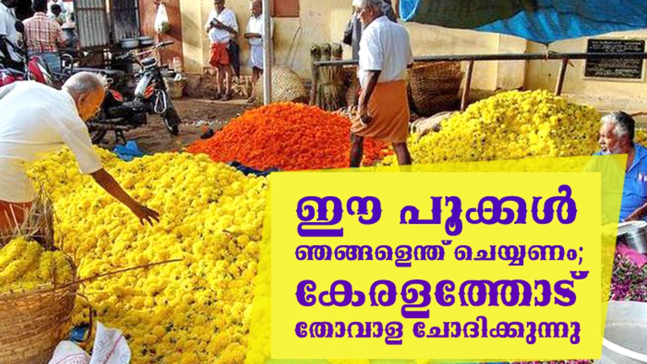 ഈ പൂക്കള് ഞങ്ങളെന്ത് ചെയ്യണം; കേരളത്തോട് തോവാള ചോദിക്കുന്നു ഈ പൂക്കള് ഞങ്ങളെന്ത് ചെയ്യണം; കേരളത്തോട് തോവാള ചോദിക്കുന്നു