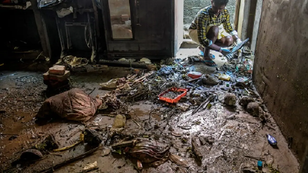 Nation vs nature: Will 2018 still be known as international year of millets or year of challenges?