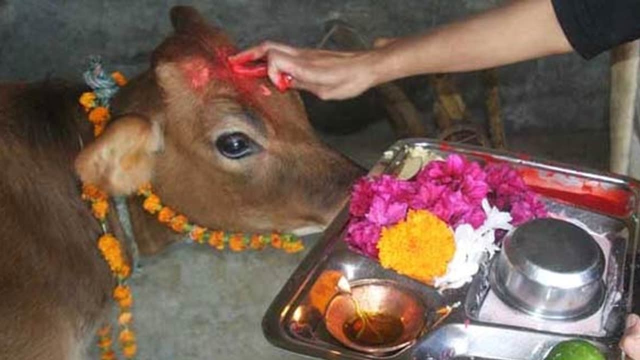 ఆవుకు సీమంతం.. కన్నకూతురిగా గాజులు తొడిగిన యజమాని ఆవుకు సీమంతం.. కన్నకూతురిగా గాజులు తొడిగిన యజమాని