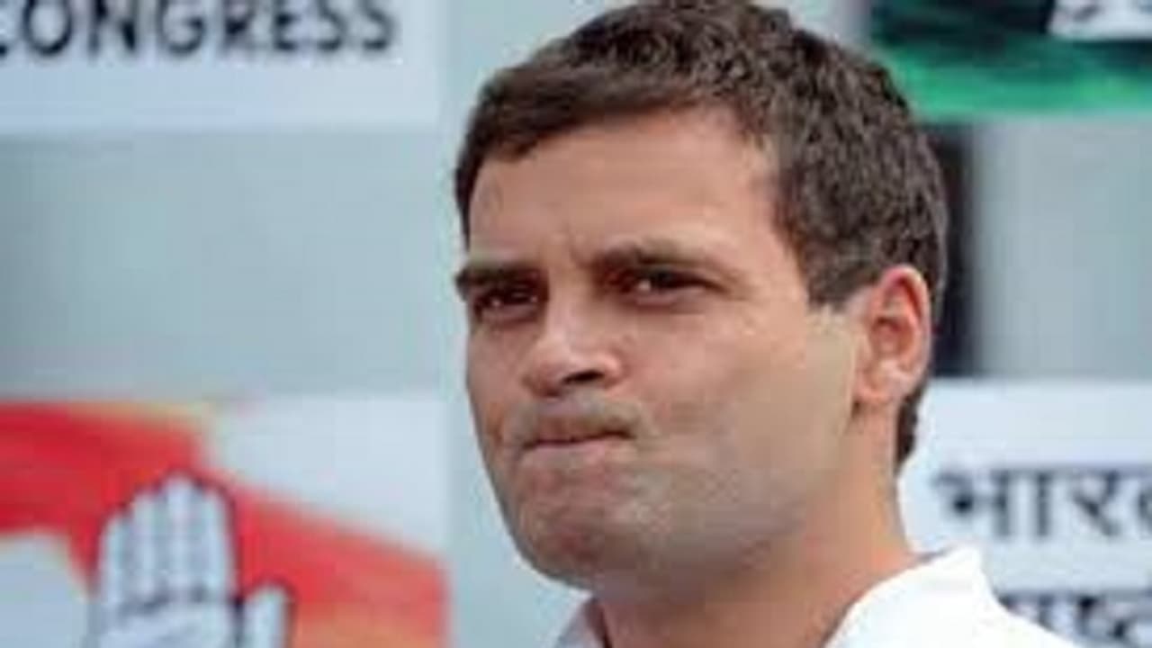 ರಾಹುಲ್‌ ಗಾಂಧಿ ಗಟಾರದ ಹುಳು ಇದ್ದಂತೆ: ವಿವಾದ