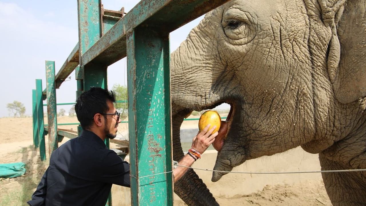 ಪ್ರಧಾನಿ ಮೋದಿಗೆ ಪತ್ರ ಬರೆದ ಸ್ಪಿನ್ನರ್ ಯುಜುವೇಂದ್ರ ಚೆಹಾಲ್
