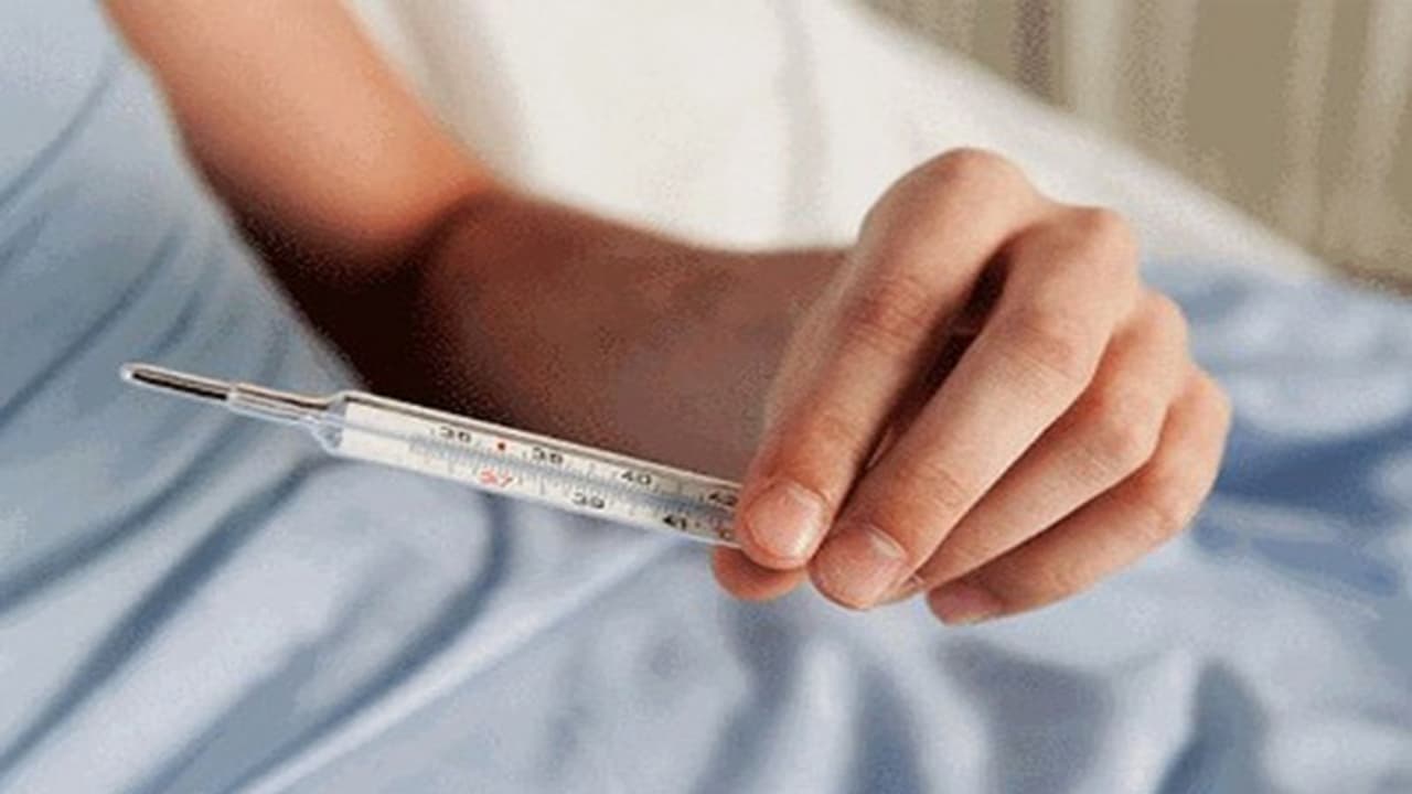 സംസ്ഥാനത്ത് എലിപ്പനി ഭീതി തുടരുന്നു; ലക്ഷണങ്ങളോടെ ഇന്ന് 10 പേര് മരിച്ചു സംസ്ഥാനത്ത് എലിപ്പനി ഭീതി തുടരുന്നു; ലക്ഷണങ്ങളോടെ ഇന്ന് 10 പേര് മരിച്ചു