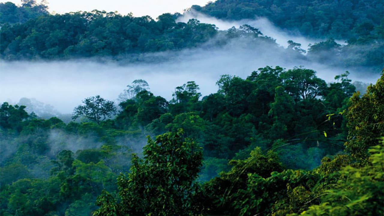 നെല്ലിയാമ്പതിയിൽ വിനോദ സഞ്ചാരികളുമായി പോയ ജീപ്പ് കൊക്കയിലേക്ക് മറിഞ്ഞു; എട്ട് പേര്ക്ക് പരിക്ക് നെല്ലിയാമ്പതിയിൽ വിനോദ സഞ്ചാരികളുമായി പോയ ജീപ്പ് കൊക്കയിലേക്ക് മറിഞ്ഞു; എട്ട് പേര്ക്ക് പരിക്ക്