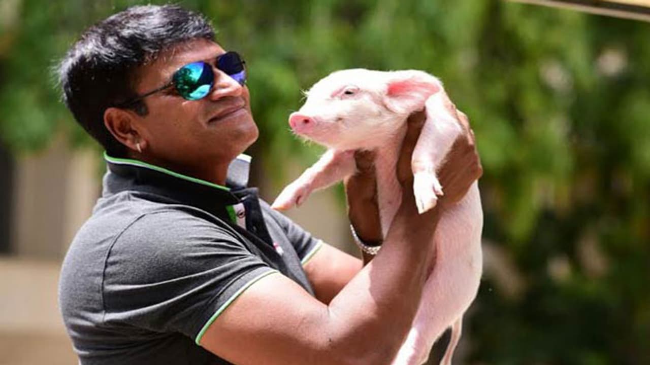 రవిబాబు “అదిగో” టాక్ ఏంటి ఇంత తేడాగా? రవిబాబు “అదిగో” టాక్ ఏంటి ఇంత తేడాగా?