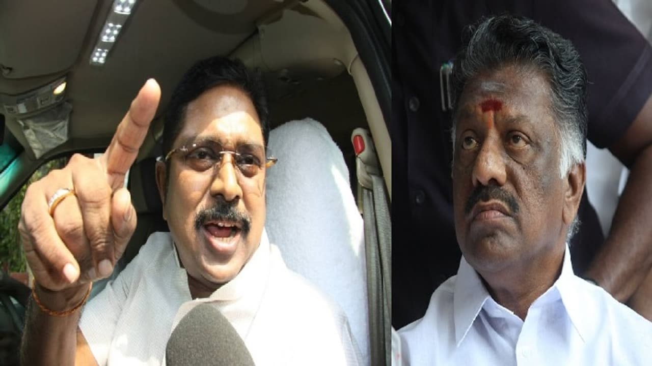 ஓ.பன்னீர்செல்வம் மனநிலை பாதிக்கப்பட்டவர்போல பேசுகிறார்; என்னைப் பார்த்தாலே அவருக்கு பயம் தினகரன் 'தில்' பேச்சு... ஓ.பன்னீர்செல்வம் மனநிலை பாதிக்கப்பட்டவர்போல பேசுகிறார்; என்னைப் பார்த்தாலே அவருக்கு பயம் தினகரன் 'தில்' பேச்சு...