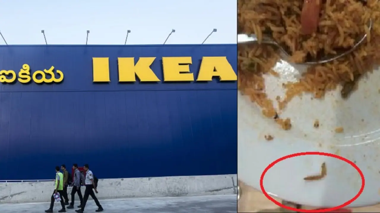 Hyderabad's IKEA in soup? After grand inauguration on August 10, customer finds caterpillar in vegetarian biriyani