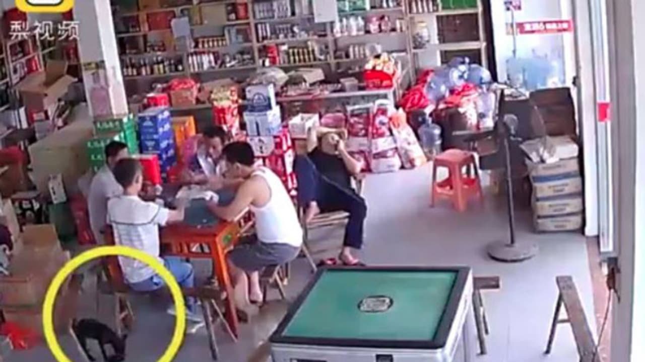 പഴ്സ് മോഷ്ടാവ് സിസിടിവിയില് കുടുങ്ങി; നടപടിയെടുക്കാനാവാതെ പൊലീസ് പഴ്സ് മോഷ്ടാവ് സിസിടിവിയില് കുടുങ്ങി; നടപടിയെടുക്കാനാവാതെ പൊലീസ്